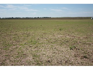 Property photo 41 - LAND AUCTION, 3255+/- Acres offered in 13 Tracts